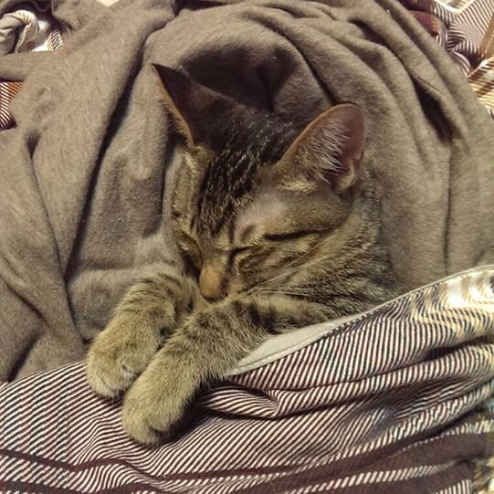 2017/2.自我生命的意義