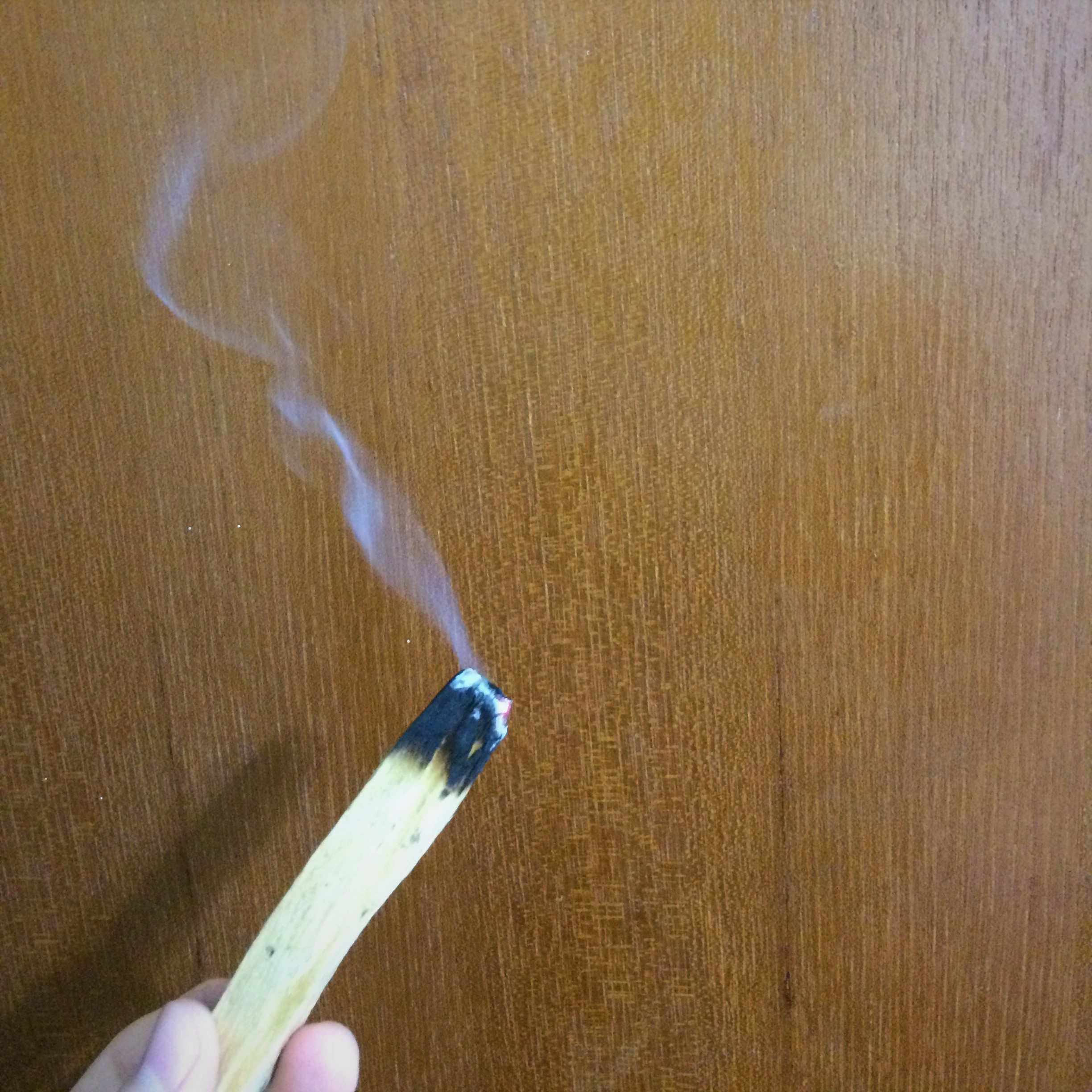 Mircat 淨化能量/保護場域.與米爾貓一起愛上祕魯聖木! – 米爾貓丨催眠改運.紫微推運
