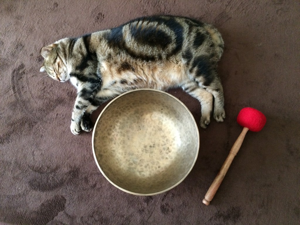 月經/經期可以頌缽嗎？