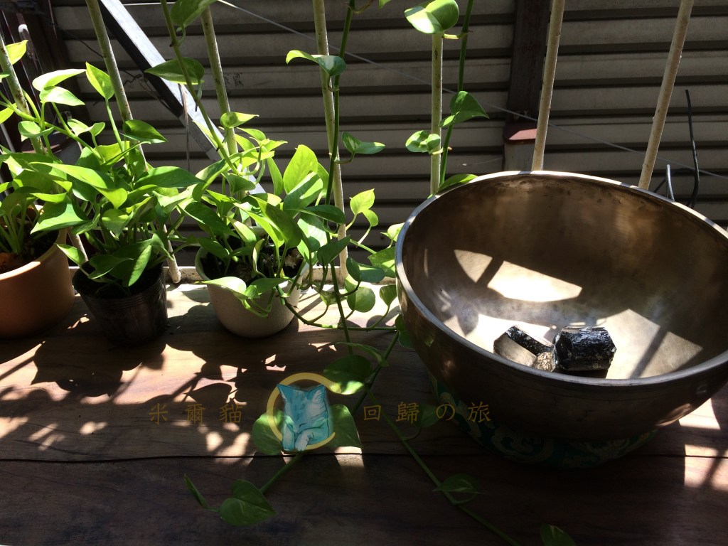 回歸之夜．回歸自己，為什麼在家很難靜心或冥想？