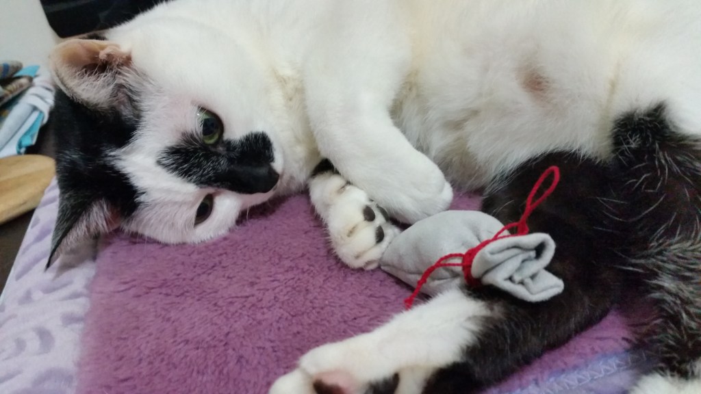 為什麼頌缽之後飲食喜好會改變？