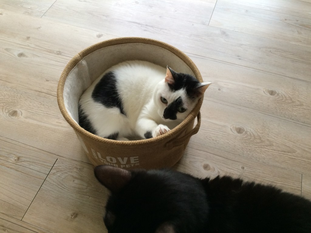 最重要的小事：慢/靜/呼吸