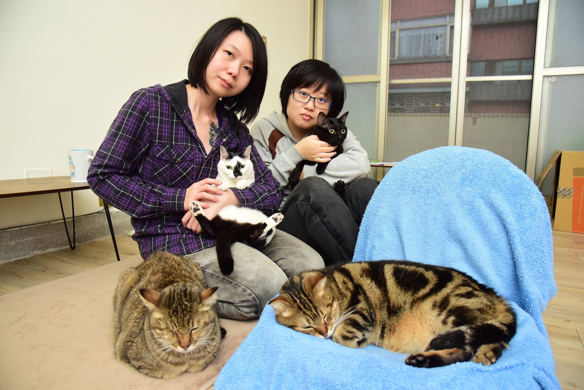 54516782_403357246885431_3470850075050115072_n