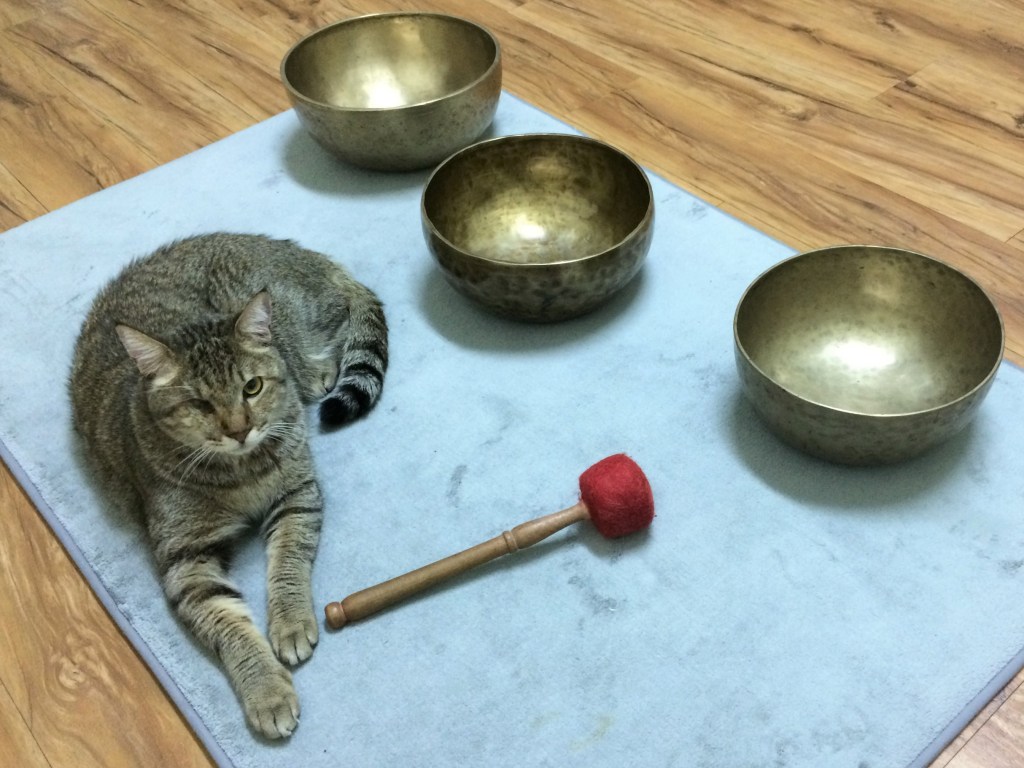 頌缽的次數/療癒後的流動