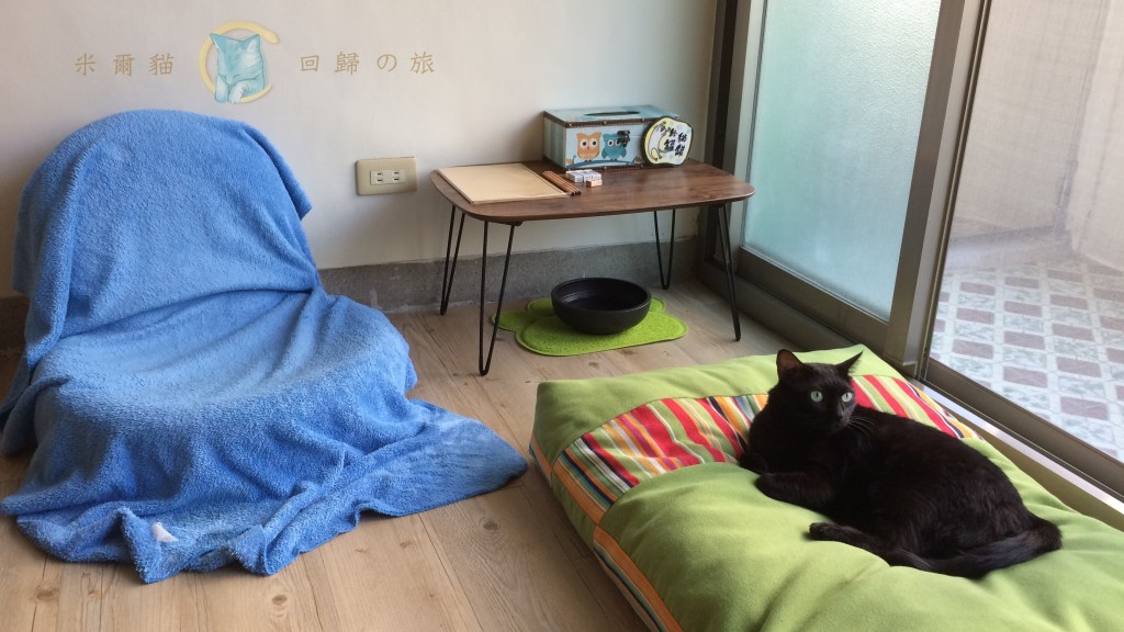 自動書寫．與自己對話