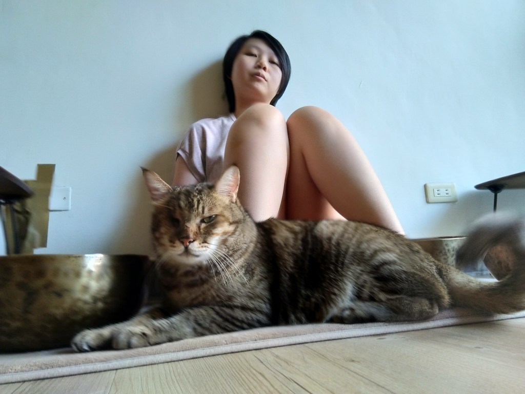 布貓花園．五年之前的我，動物溝通教會我的事