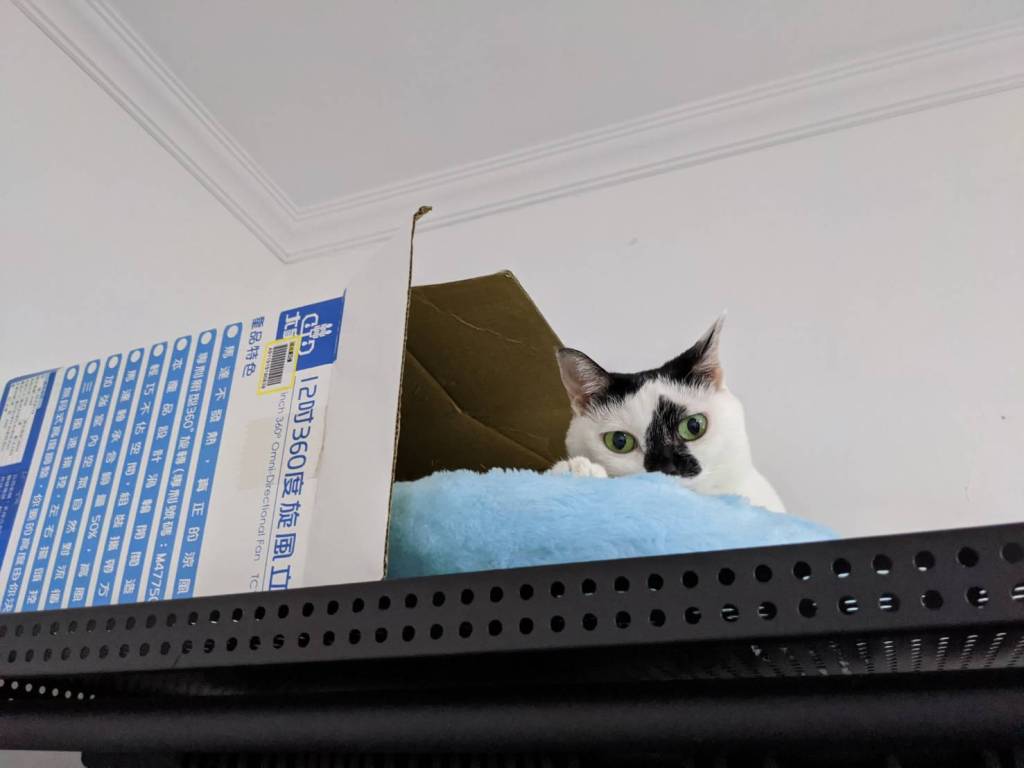 一樣或不一樣又如何？