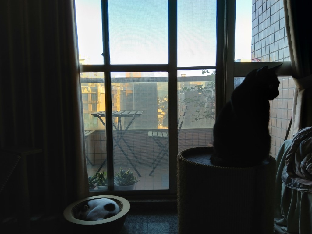 關於躁鬱症的誤解