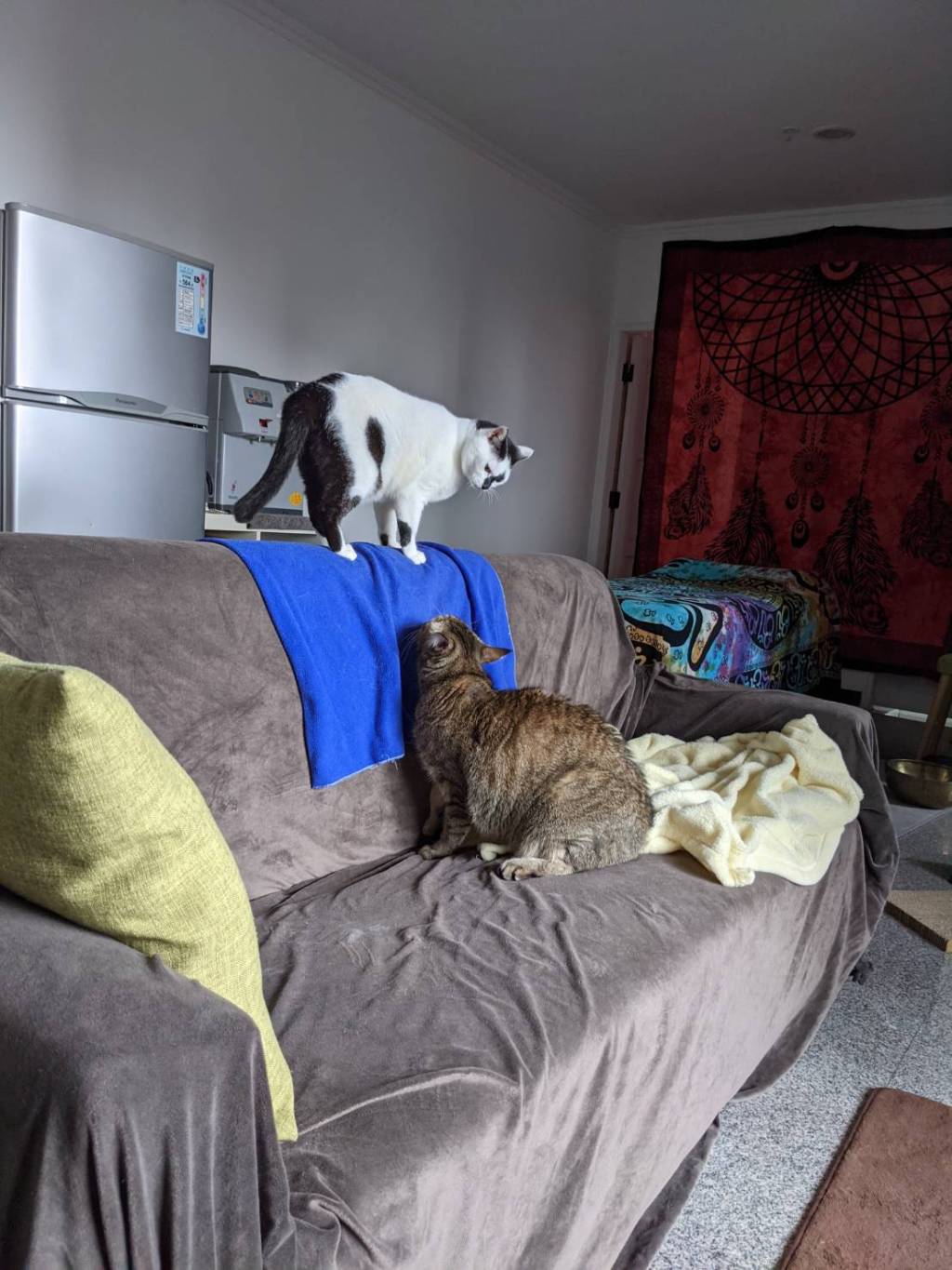 沒有所謂最好或是最有效益的運動