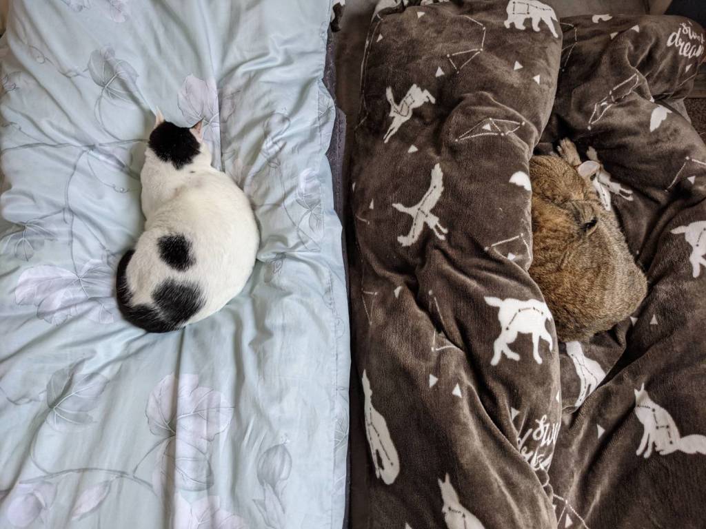 2021年末回顧．好好休息一下