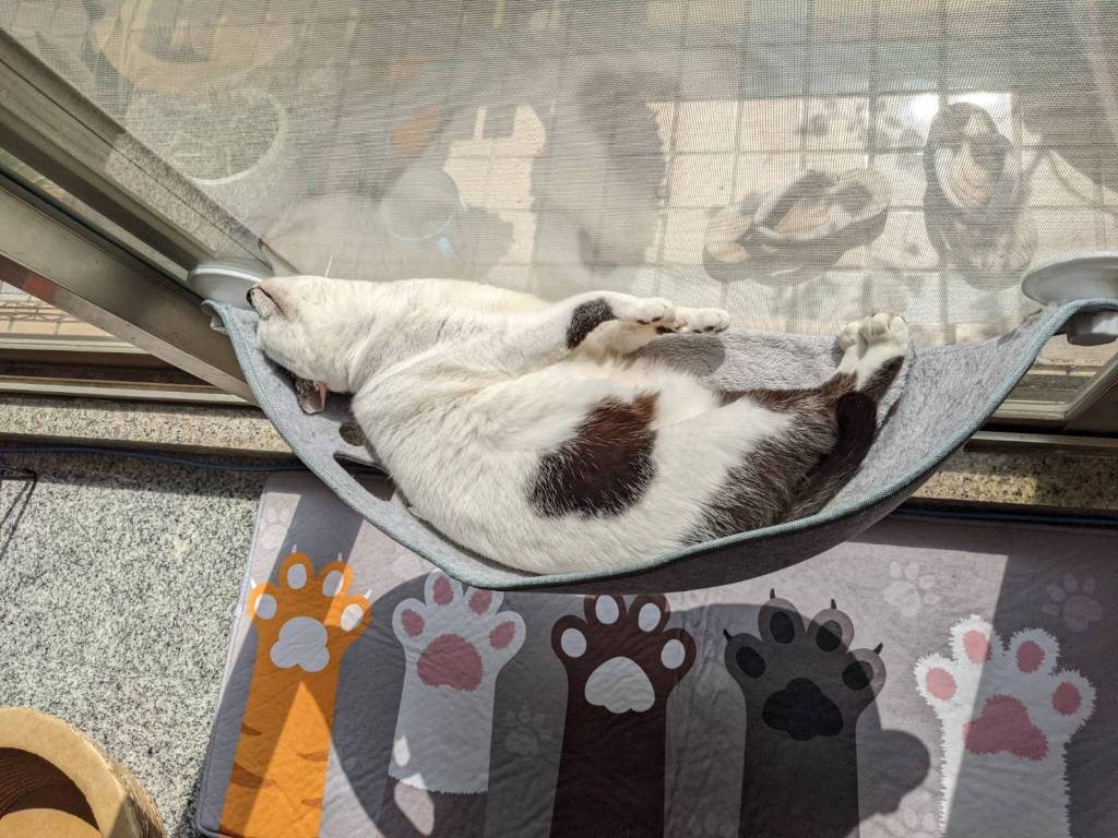 每一個人都可以被催眠嗎？催眠會失敗嗎？