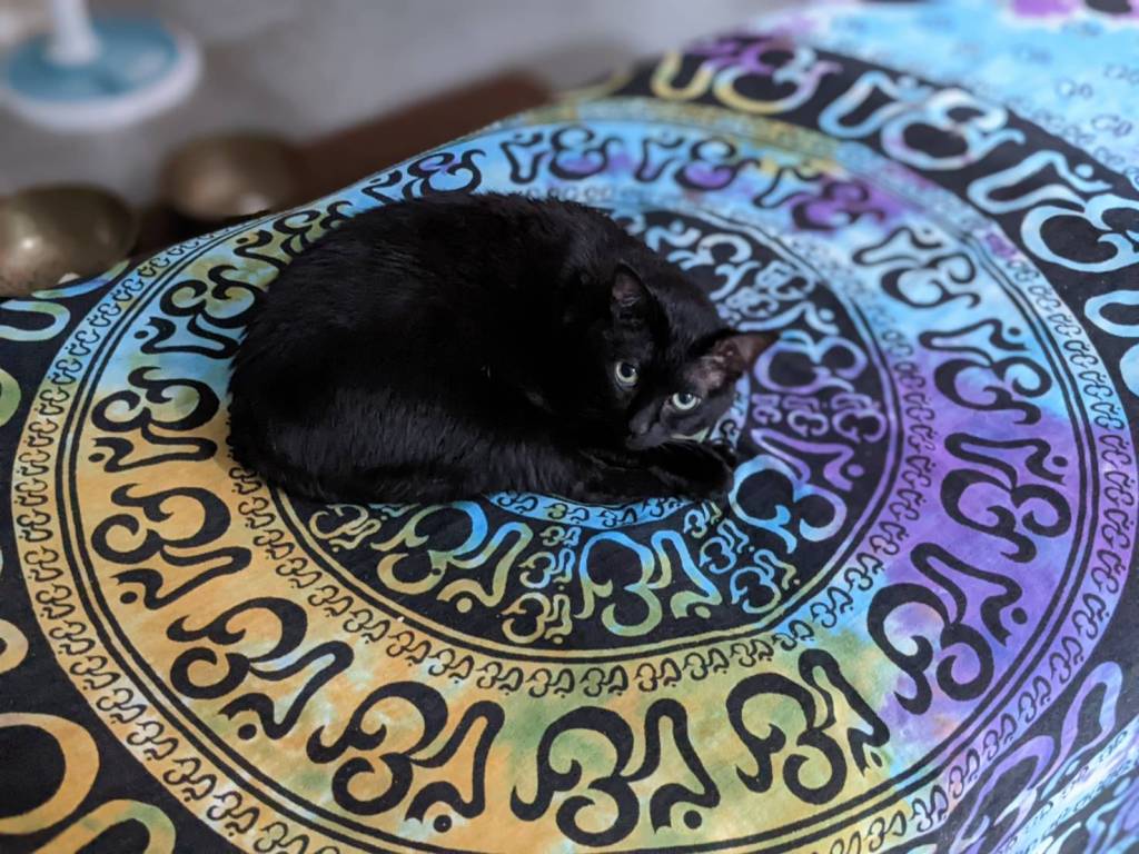 妳的開玩笑，造成我長年的痛。