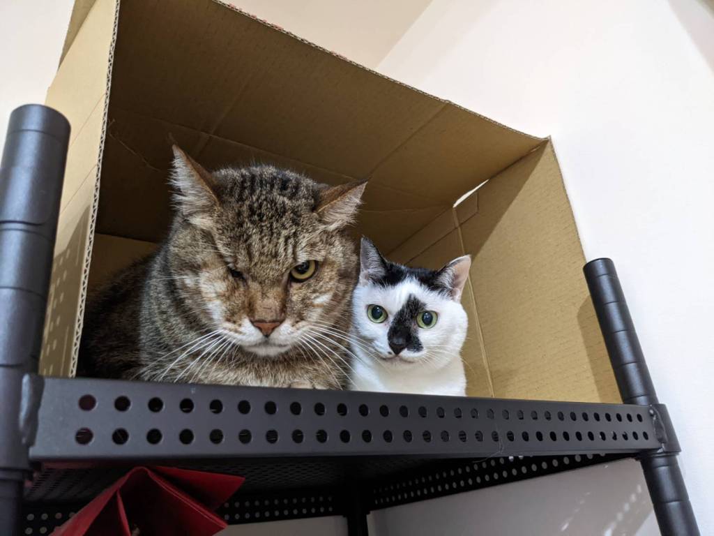 每個人都該找到自己的天命或天賦？