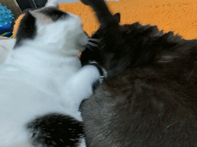 照顧自己：放下其他人的話語，重新經驗自己的內在