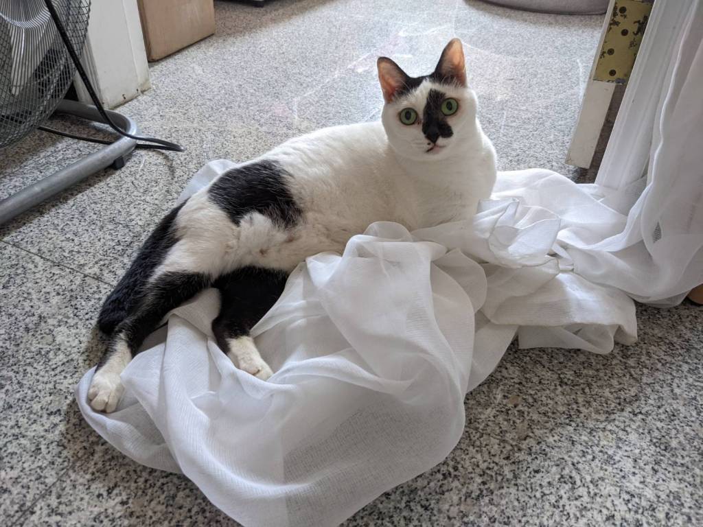 負責與自責的差別？無法消化自責的情緒嗎？