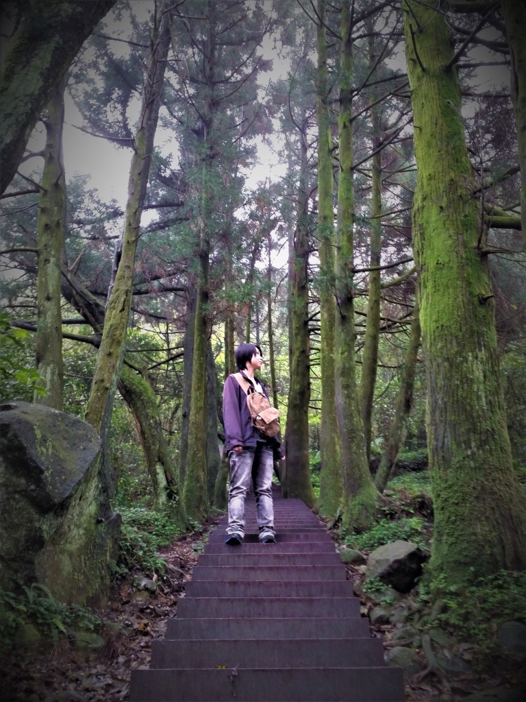 我是米爾貓，一位催眠師，也是一個從性侵創傷中終於學會擁抱自己，陪伴自己走過黑夜的人。