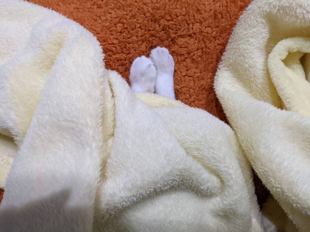 催眠越多次越容易進入催眠狀態嗎？