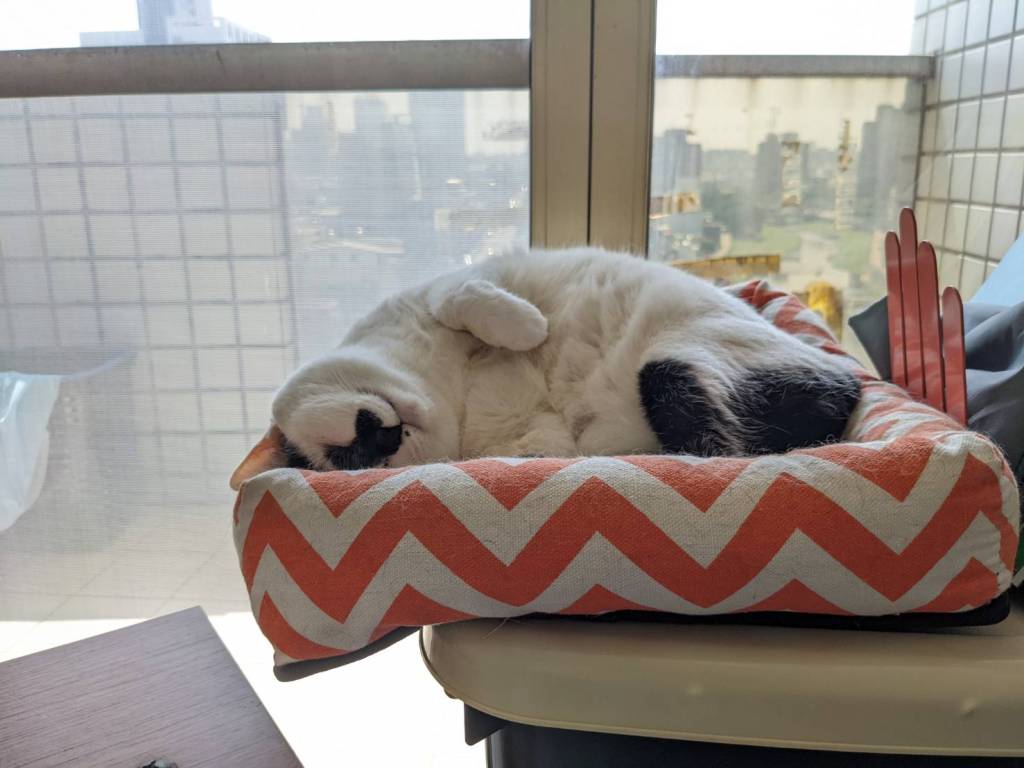 催眠療癒是否會有危險或副作用呢？催眠要注意什麼？