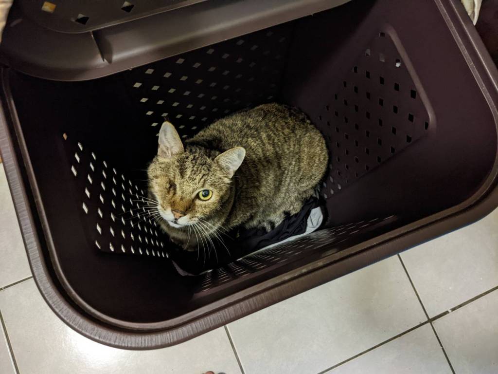 運用催眠療癒探索被大腦隱藏的重要資訊