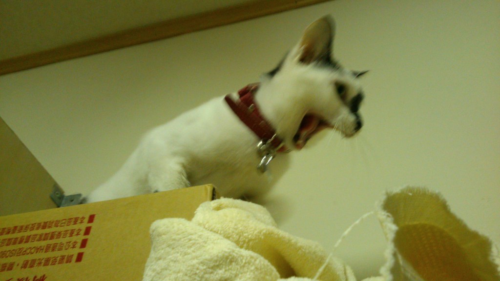 年前大掃除，妳在斷捨離還是否定自己呢？