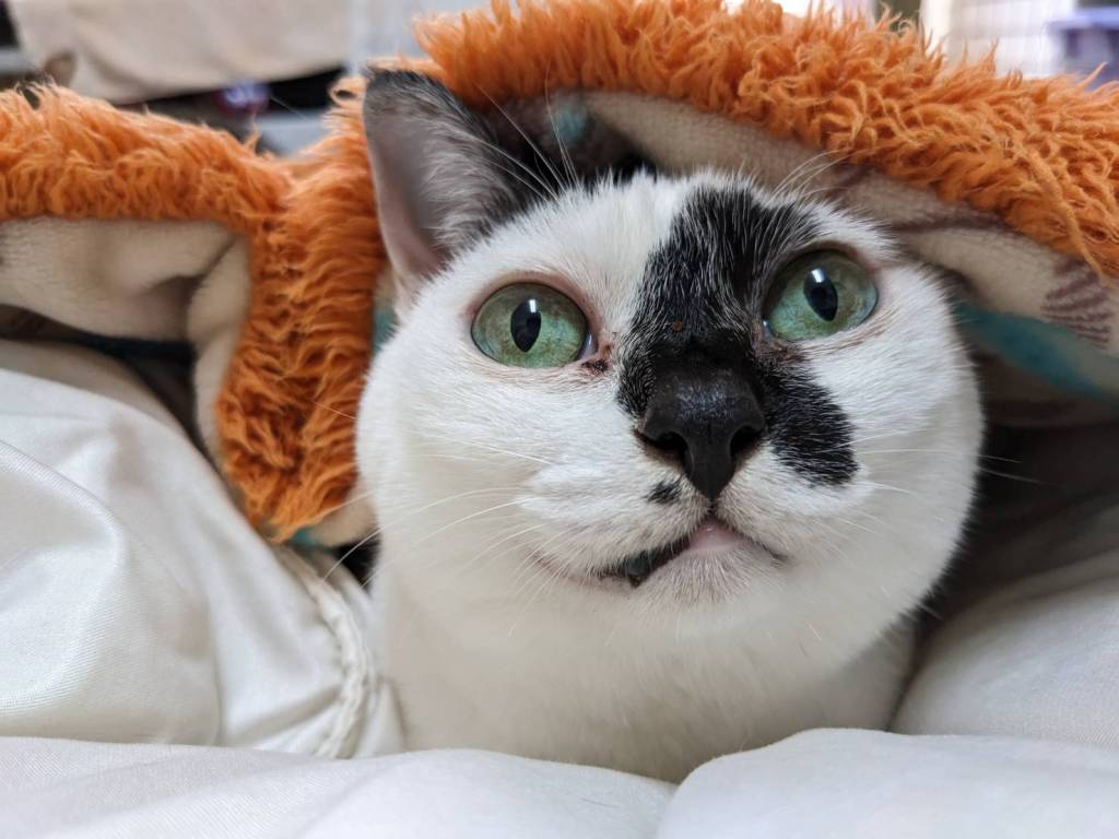 愛自己是什麼？每一個的人愛自己都不一樣？