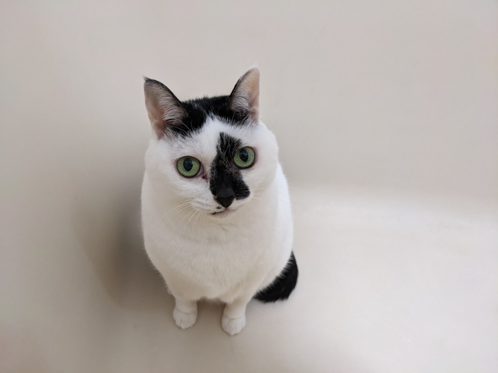 自我價值感，妳對自己的想法與評價如何呢？