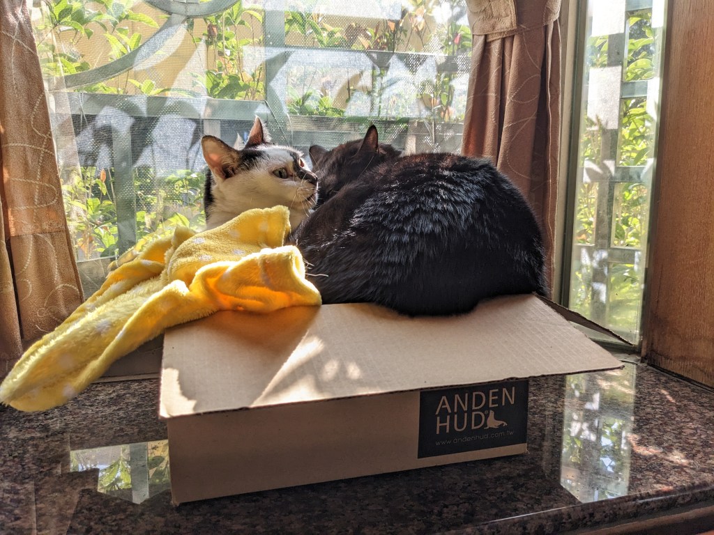 情緒越接納越糟糕，到底該怎麼做才好？