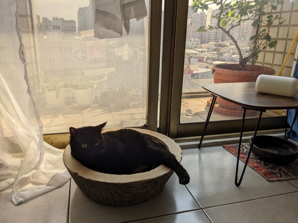 妳敢跟別人分享自己的喜愛嗎？分享喜愛能讓妳更自信？