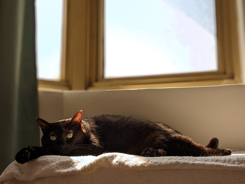 使用催眠刪除痛苦的回憶，可能也把自己丟入更深的黑暗