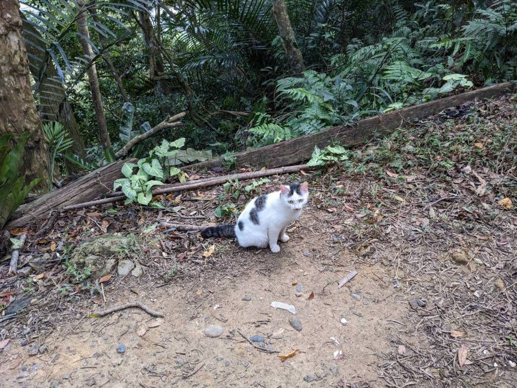 終於敢說出來了，性侵帶給我身心的傷害與影響