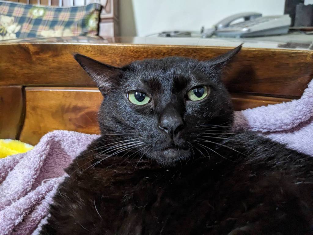 當現實無法改變，我們如何從療癒中找到希望？