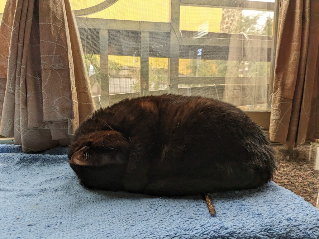 催眠減肥：解鎖潛意識，實現健康瘦身跟理想身材的秘訣（上）自我認同