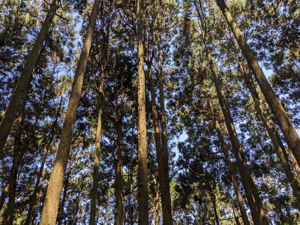 療癒不只在個案室，而是培養覺察與自我療癒