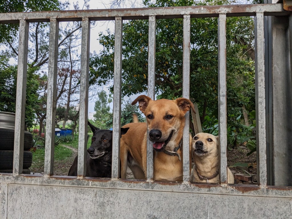 催眠減肥：解鎖潛意識，實現健康瘦身跟理想身材的秘訣（中）身體健康