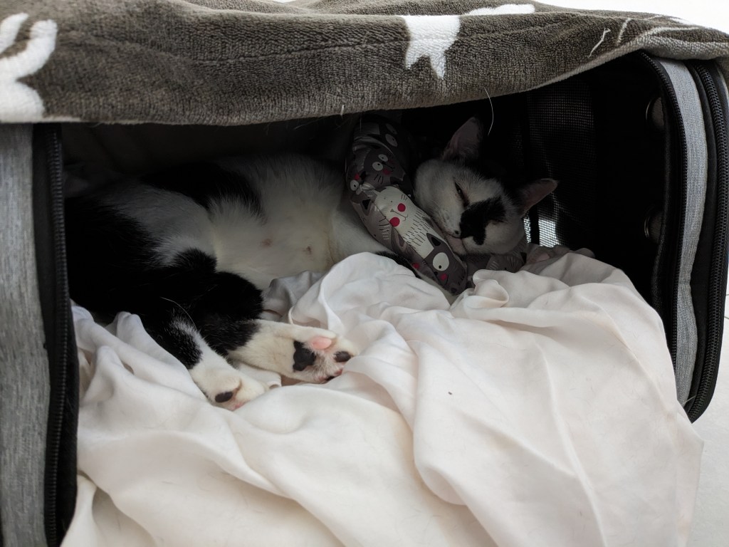 催眠止痛．自我催眠奇妙運用在肺炎