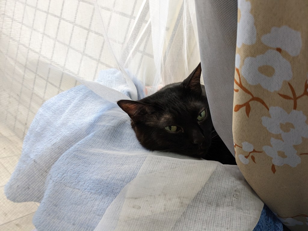 張元祐心理師的正念咖啡館．正念減壓八週課程