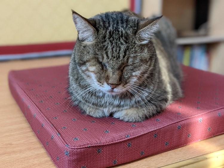 總是訂了目標卻難以堅持嗎？那是潛意識中的信念在拉扯。自我催眠工作坊帶你學會與潛意識合作，透過催眠技巧與信念轉化，找到內在阻力的根源，重新設定支持自己的信念，讓行動變得自然又有力量。