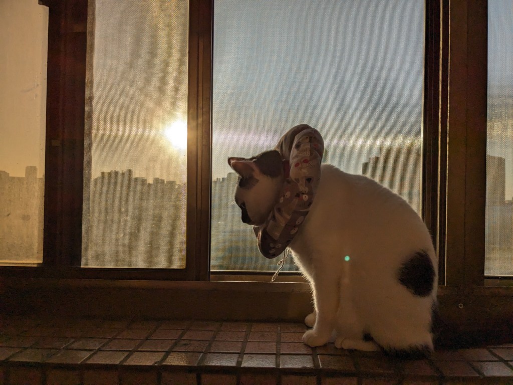 離世告別，在催眠中尋找愛的力量