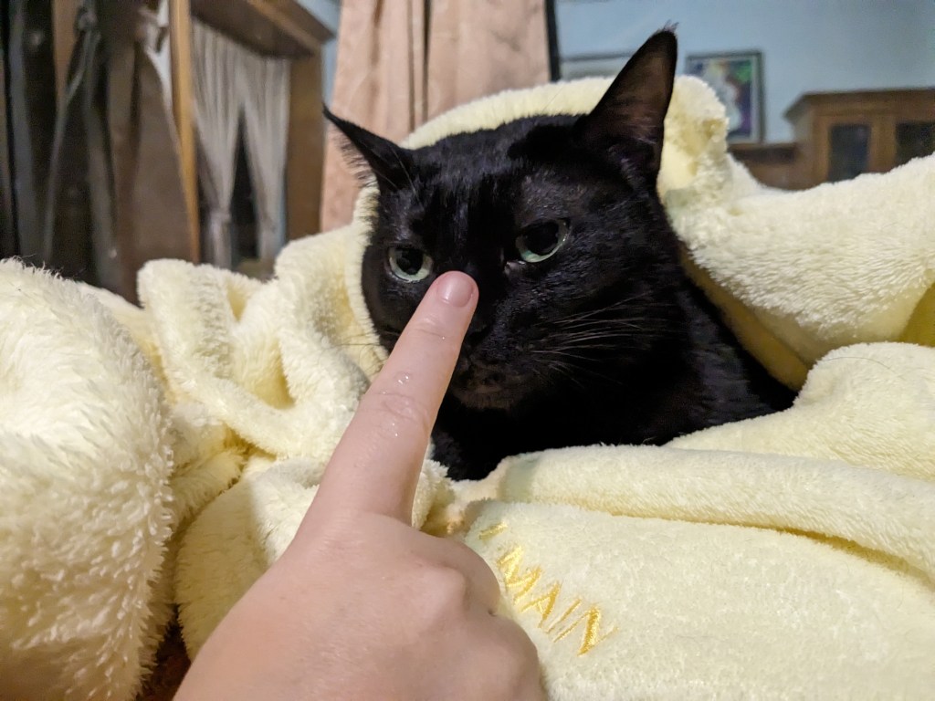 女性為什麼害怕結婚呢？