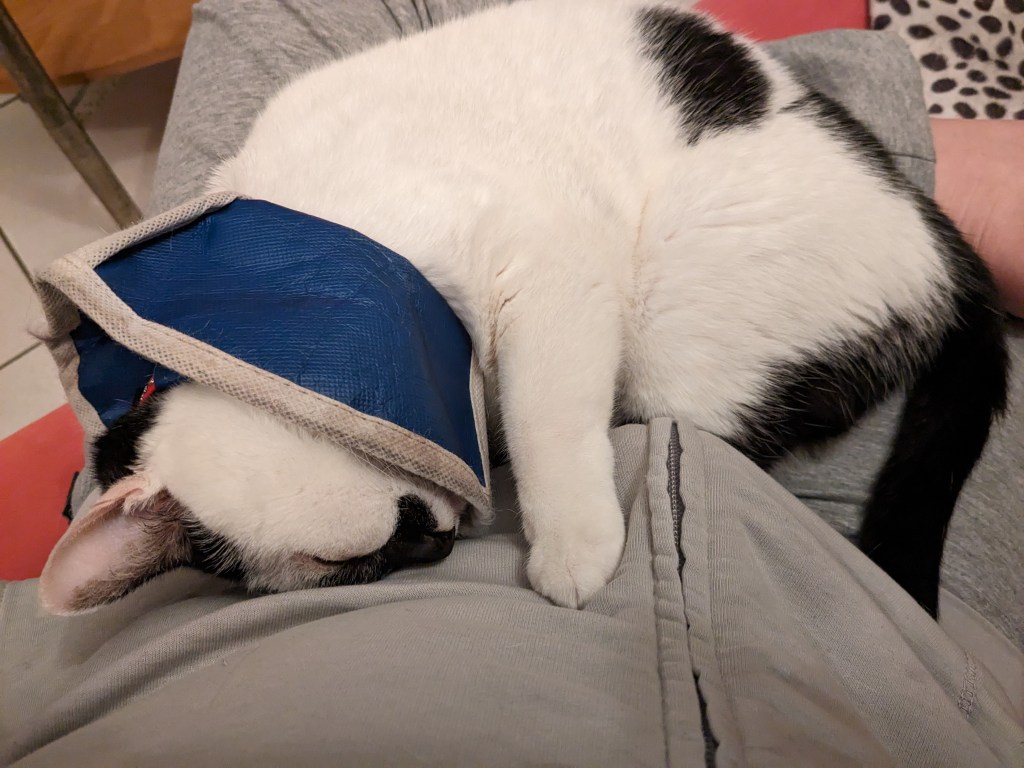 情緒解密，催眠探索憤怒背後的恐懼，滿足真正的需求