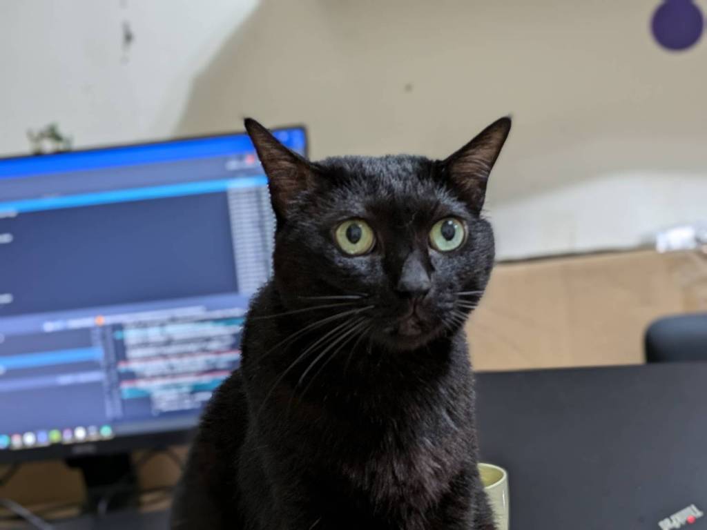 動物溝通是真的嗎？還是騙人呢？