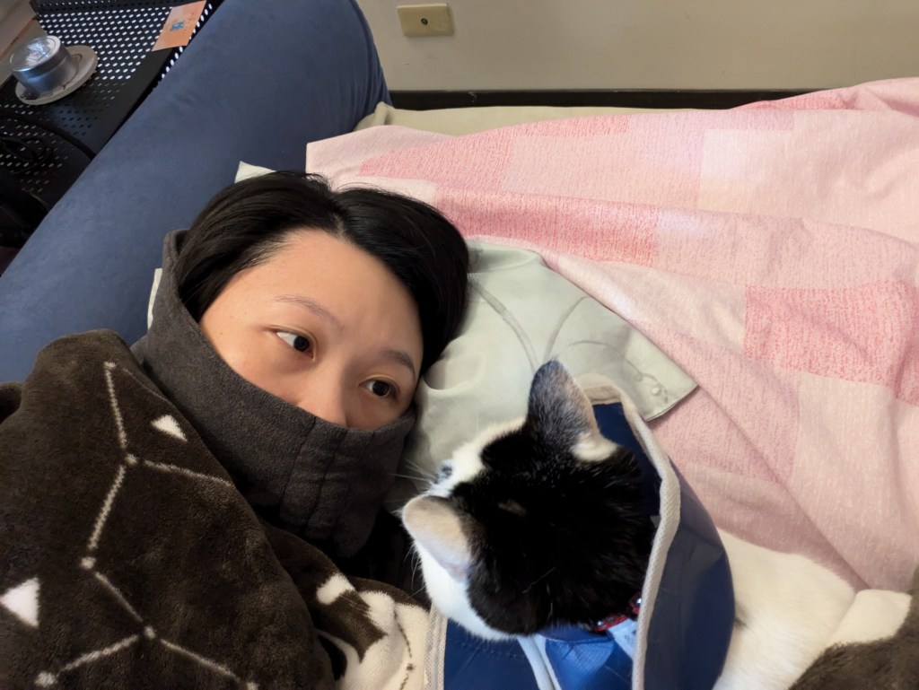 2024年末回顧．被奪舍的一年