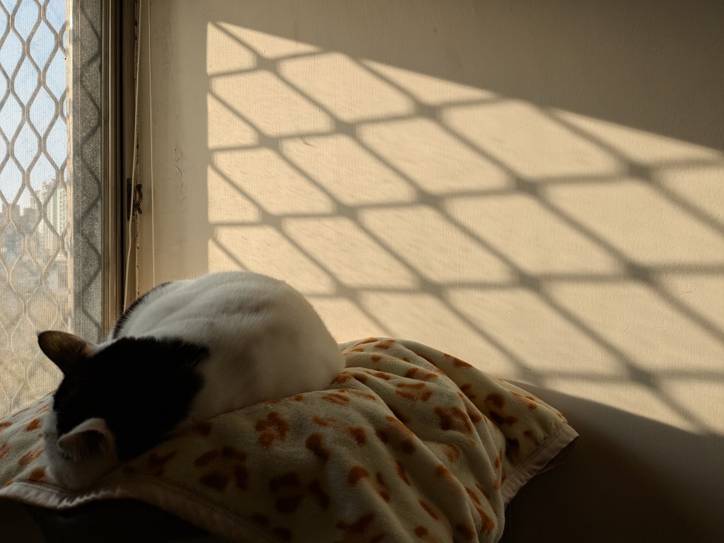 媽媽拒絕治療，不僅是因為害怕，更多的是愛