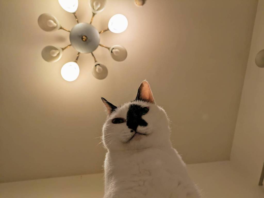 當她不再害怕像媽媽，才開始成為她自己