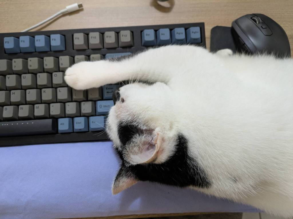 紫微斗數命盤早寫好人生劇本？那我們能改變什麼？