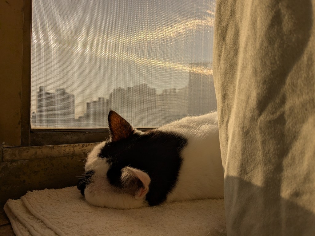 天機星在命宮的女性，為什麼職場特別不順？