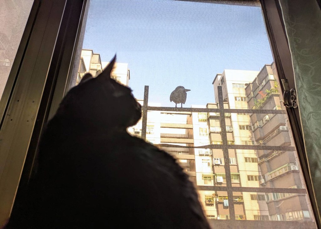 我的原生家庭（１２）性侵我的父親上篇