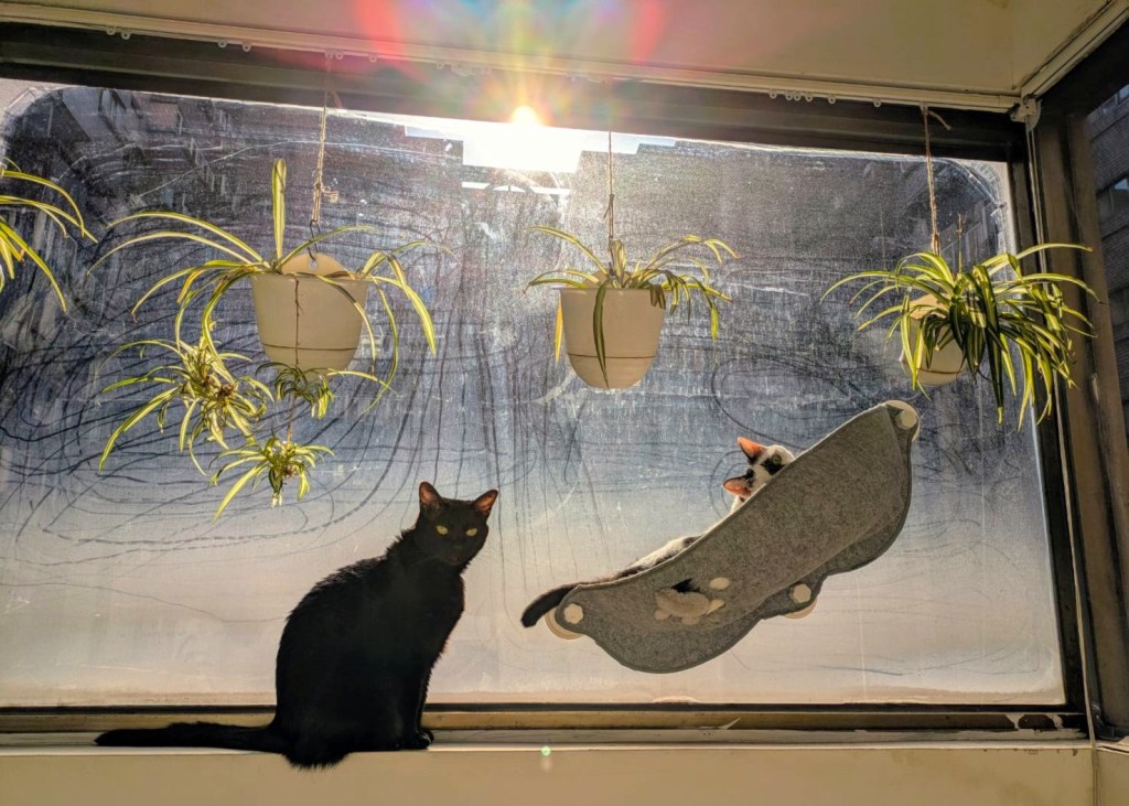 我的原生家庭（１４）完結丨從心出發，我與我自己篇