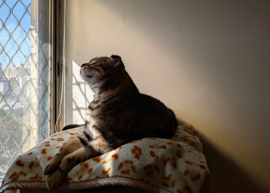 我的原生家庭（３）我曾以為那是愛情，二哥篇