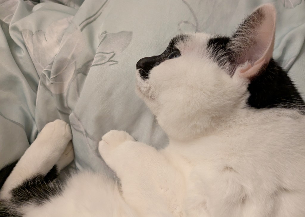 我的原生家庭（４）那個教會我絕望的人，阿姨上篇